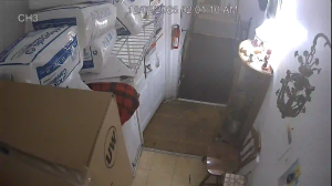 Caméra IP - United States of America