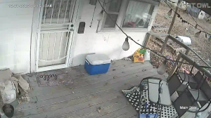 Caméra IP - Estados Unidos