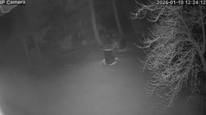 Caméra IP - Germany