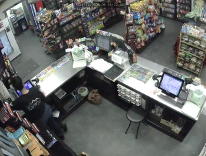 Caméra IP - Stati Uniti d'America