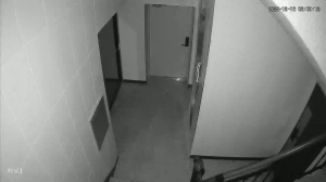 Caméra IP - South Korea