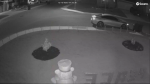 Caméra IP - United States of America