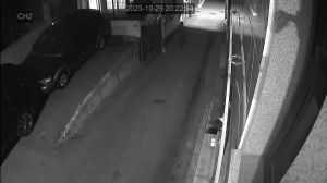 Caméra IP - South Korea