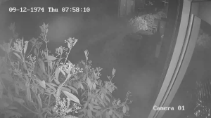 Caméra IP - Pays-Bas