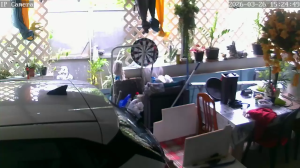 Caméra IP - Guadeloupe