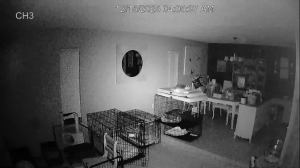 Caméra IP - Vereinigte Staaten von Amerika