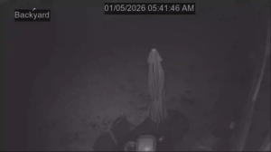 Caméra IP - États-Unis d'Amérique