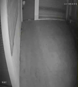 Caméra IP - Vietnam