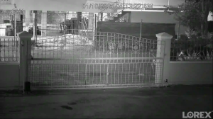 Caméra IP - Trinidad y Tobago