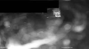 Caméra IP - Allemagne