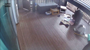 Caméra IP - South Korea