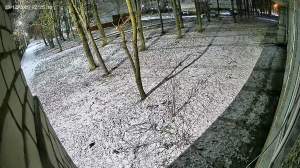 Caméra IP - Russische Föderation