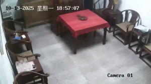 Caméra IP - China