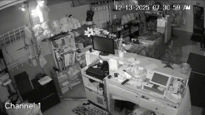 Caméra IP - Estados Unidos