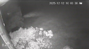 Caméra IP - Estados Unidos