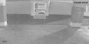 Caméra IP - Brésil