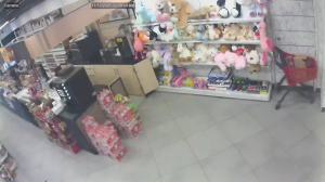 Caméra IP - Türkei