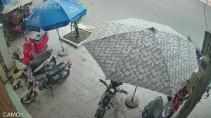 Caméra IP - Vietnam