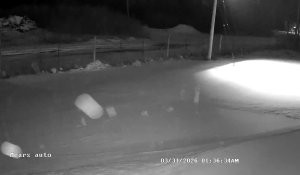 Caméra IP - United States of America