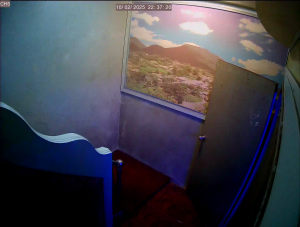 Caméra IP - South Korea