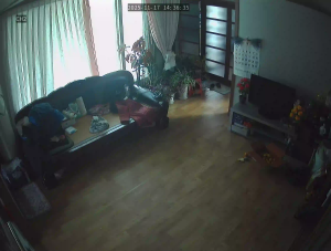 Caméra IP - South Korea