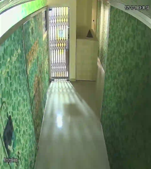 Caméra IP - Vue en direct