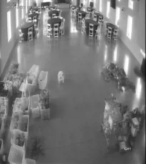 Caméra IP - United Kingdom