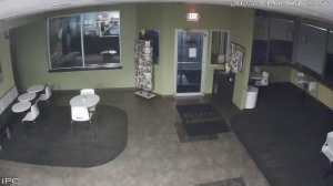 Caméra IP - Vereinigte Staaten von Amerika