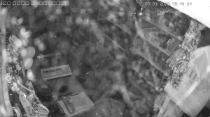 Caméra IP - Bulgarie