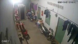 Caméra IP - Vietnam
