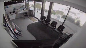 Caméra IP - Neuseeland