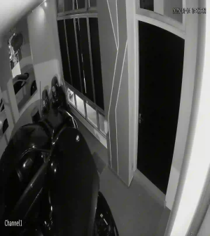 Caméra IP - Malaisie