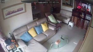 Caméra IP - United States of America