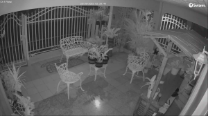 Caméra IP - Panama