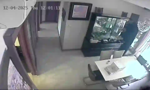 Caméra IP - Singapore