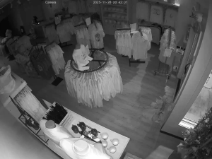 Caméra IP - États-Unis d'Amérique