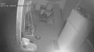 Caméra IP - États-Unis d'Amérique