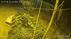 Caméra IP - Vietnam