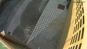 Caméra IP - Hong Kong