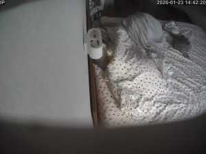 Caméra IP - Ucrania