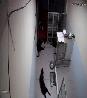 Caméra IP - Bolivia