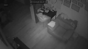 Caméra IP - Malasia