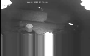 Caméra IP - Royaume-Uni