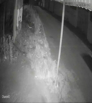 Caméra IP - United States of America