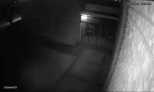 Caméra IP - Sudáfrica