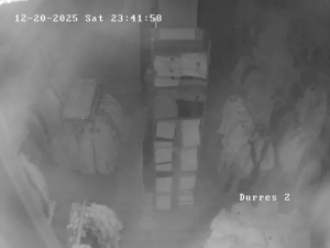 Caméra IP - Albanie