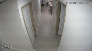 Caméra IP - United States of America