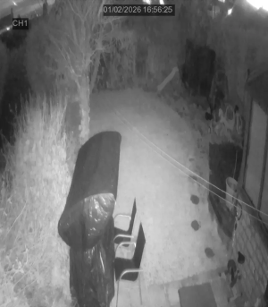 Caméra IP - Vereinigtes Königreich