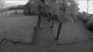 Caméra IP - Netherlands