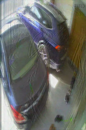 Caméra IP - Malaysia